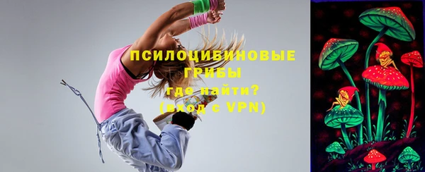 прущий лед Верея