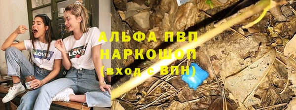твердый Бородино