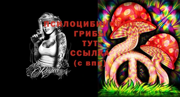 прущий лед Верея