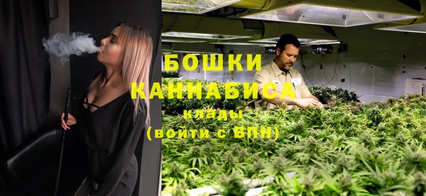 мдпв Верхний Тагил