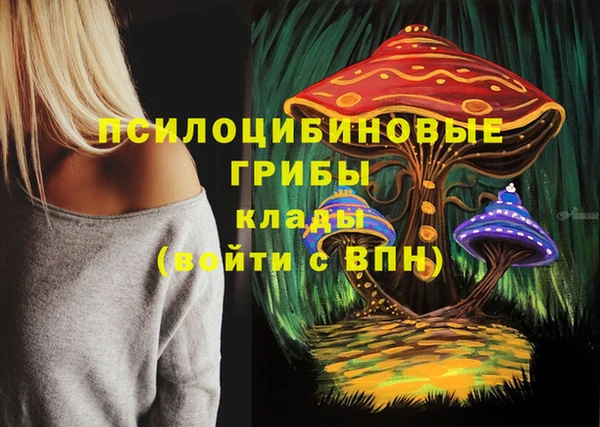 мдпв Верхний Тагил