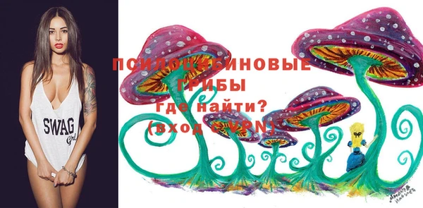 мдпв Верхний Тагил