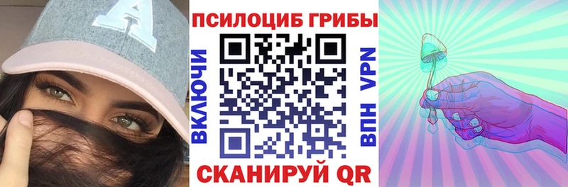 блэк спрут   Инсар  Псилоцибиновые грибы GOLDEN TEACHER 